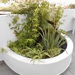 Villa Casa Bamboo *