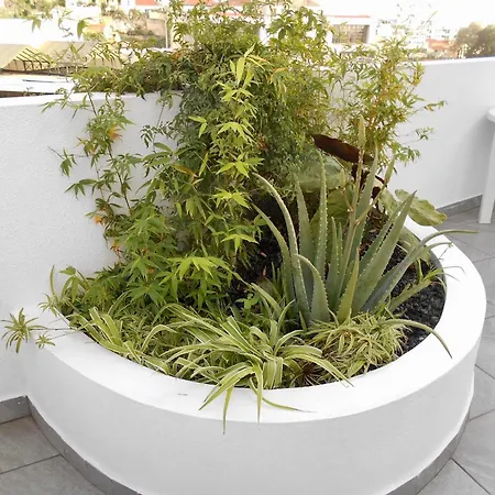 Villa Casa Bamboo *