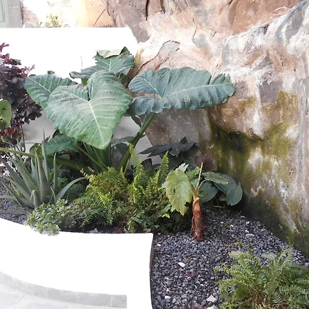 Casa Bamboo פונשל