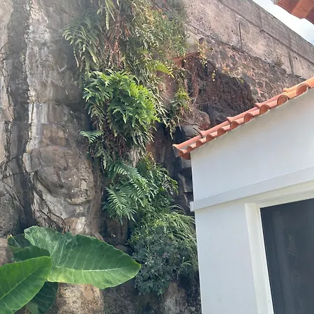 Casa Bamboo Funchal (Madeira)