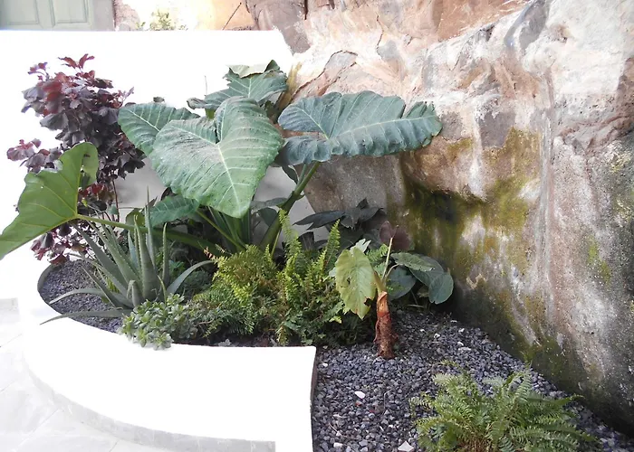 Casa Bamboo Funchal (Madeira)