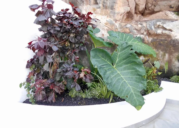 Casa Bamboo * Funchal (Madeira)